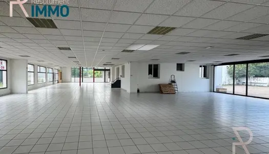 Local commercial 2569 m² 