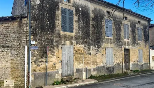 Grande maison à rénover avec jardin