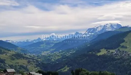 Terrains viabilisés avec vue Mont-Blanc à Saint-Nicolas-la-Chape 