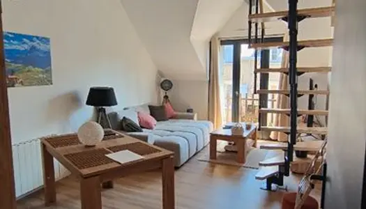 Appartement T3 entièrement rénové 