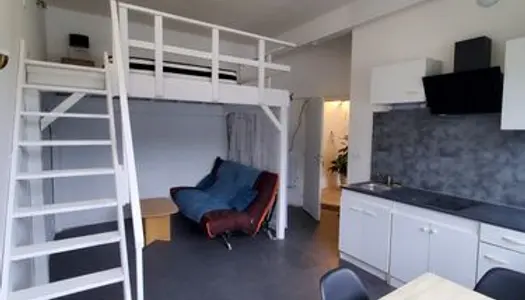 Duplex 1 pièce 24 m²