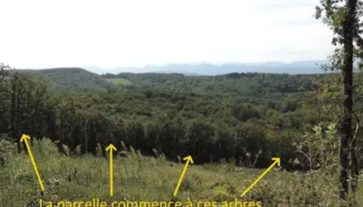 4,2 hectares de bois dans le sud de la France, dép. 11 (Aude) 