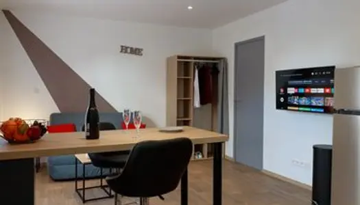 Charmant studio meublé 23m² quartier Hôpital 