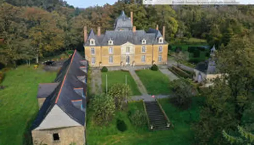 Château XVIIème - 607 m² + potentiel 300 m² supplémentaire + 6 hectares (étang, piscine, forê