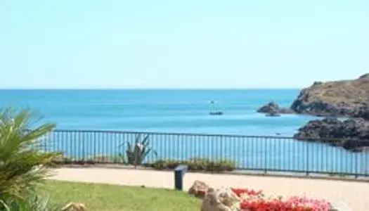 Particulier vend a collioure appartement avec superbe vue mer et acces direct a la plage