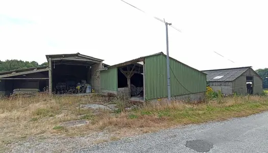 Dpt Morbihan (56), à vendre PLOURAY Hangar