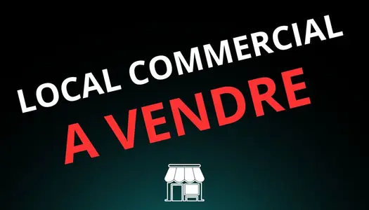 LOCAUX COMMERCIAUX