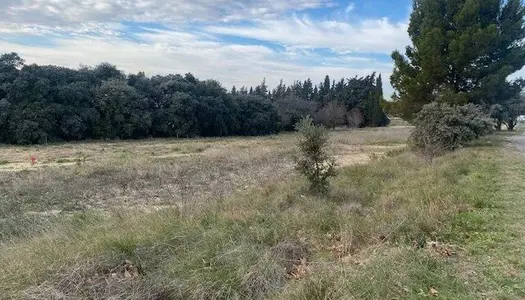 Vente Terrain 811 m² à Lançon-Provence 270 000 €