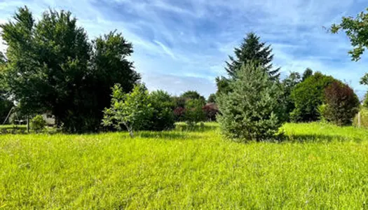 Terrain Vente Grez-sur-Loing  1337m² 99000€