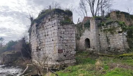 Ruine ancien moulin bord du cher