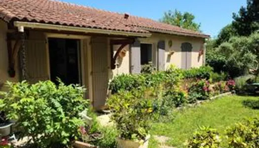 Maison, piscine, jardin d'agrément