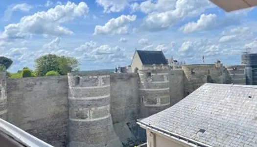 SUPERBE MAISON DANS LA CITÉ, à deux pas du Chateau d'Angers 