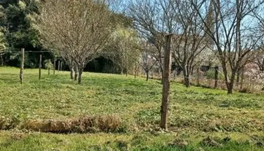 Terrain de loisirs 700m2 lhommaizé 