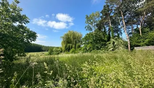 Vente Terrain 900 m² à Mareuil en Dole 25 000 €