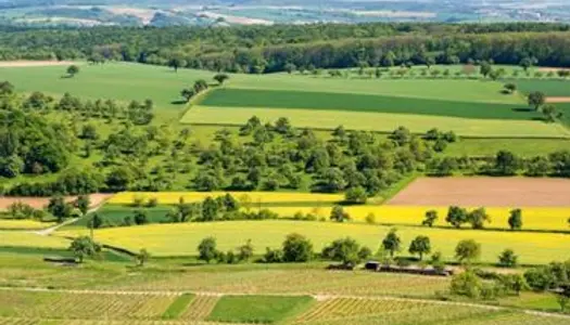 Vente terrain agricole 