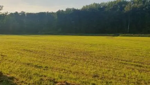 TERRES AGRICOLES, PATÛRE sur 11 HECTARS 500 