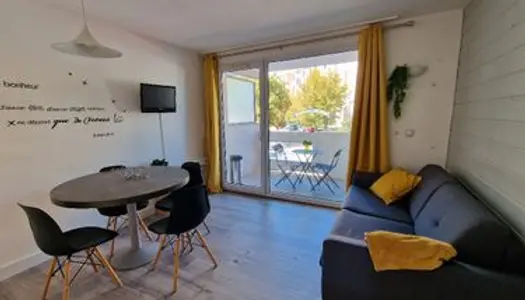 Appartement T2 29m2 refait à neuf 