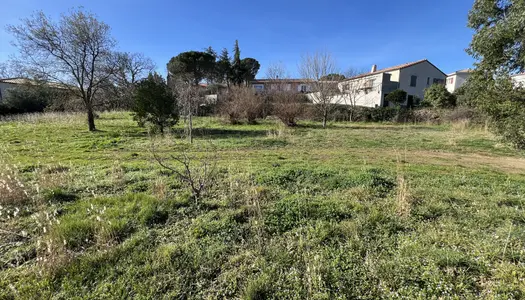 Terrain 784 m²