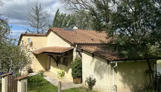 Cadre magnifique au bord d'un étang avec vue sur un château 