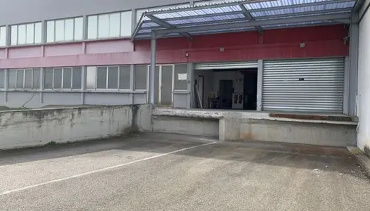 Local commercial 4800 m² 