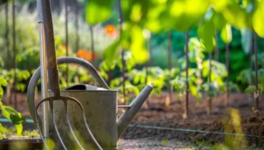 Location jardin / potager 