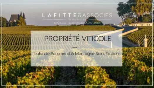 Propriété viticole 
