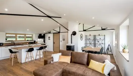 Magnifique Loft refait à neuf 