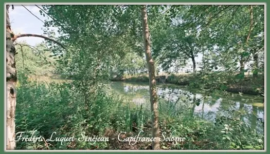 Dpt Loiret (45), à vendre VIENNE EN VAL terrain de loisirs avec son étang, électricité et forage 