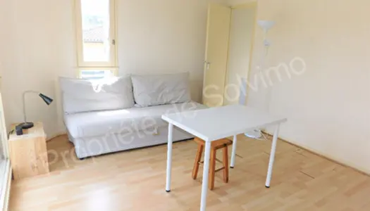 Toulouse Rangueil 31400 Appartement T1 - 22m2 proche fac - parking 