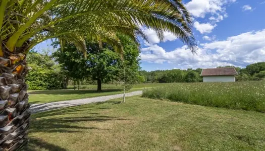 Exclusivité Maison plain pied avec plus d'un hectare 