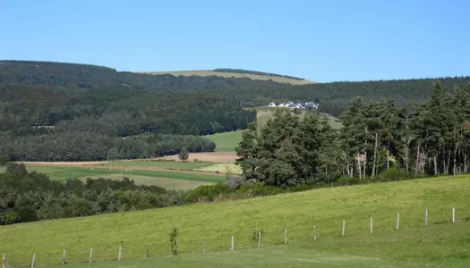 A 1240 m d'altitude sur le haut plateau de la Margeride 