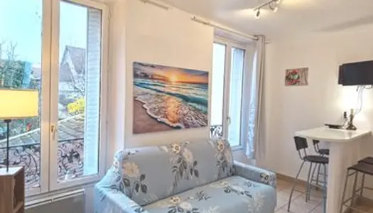 Un appartement à Paris 