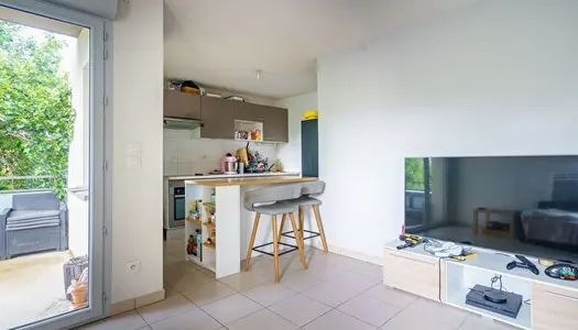 PLAISANCE DU TOUCH - Appartement T3 avec terrasse et parking 