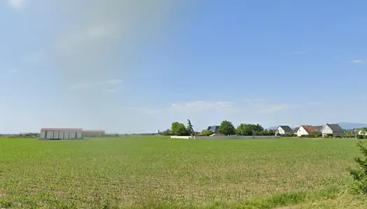 Terrain à construire de 503 m² à Dessenheim