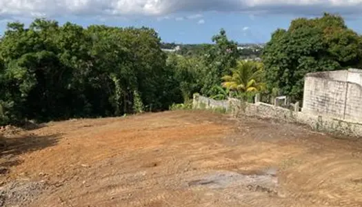 Vends 2 Terrains constructibles situés commune de PETIT BOURG Guadeloupe