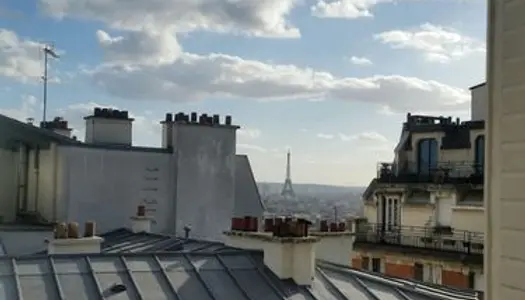 T3 55m2 Montmartre balcon vue paris 