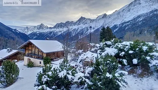 Appartement aux pieds des pistes au calme