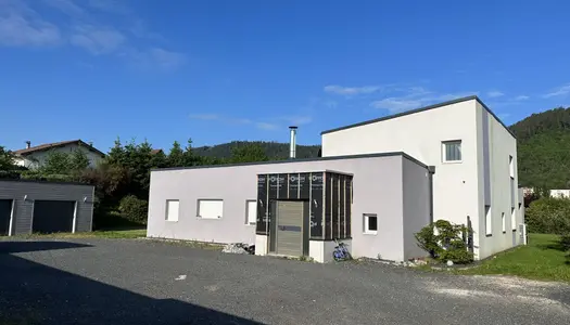Vente Maison 199 m² à Saint-Dié-des-Vosges 490 000 €
