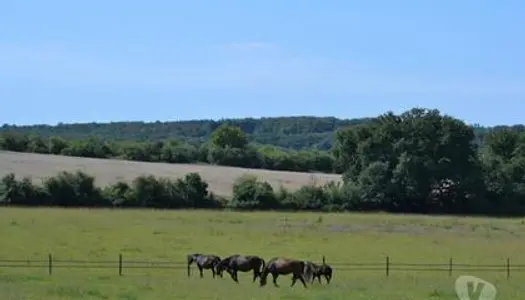 Belle Propriété Equestre sur 18 Hectares Attenant