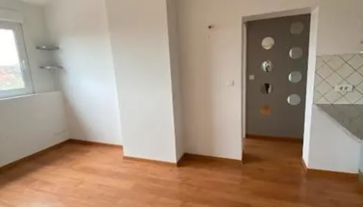 Appartement lumineux 52M2 rue de la Briqueterie à Reims 