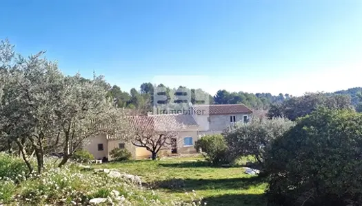 Ancienne Ferme Au Milieu De Champs D'oliviers