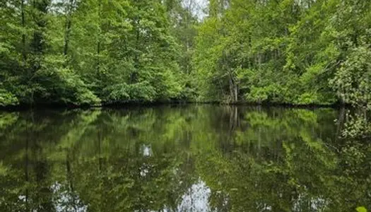 Propriété de 1,6 ha comprenant étang et bois 