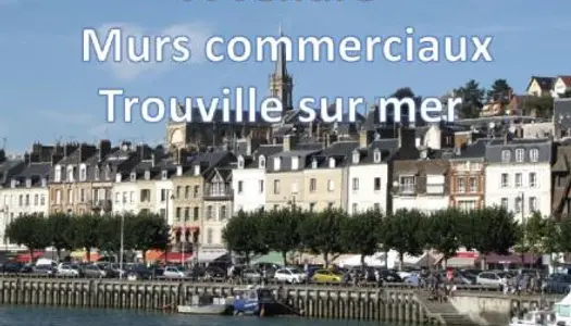 Immobilier professionnel Vente Trouville-sur-Mer  50m² 220000€