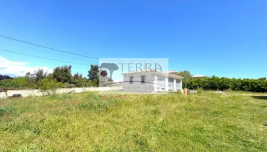 Terrain Vente Aléria  1130m² 135000€