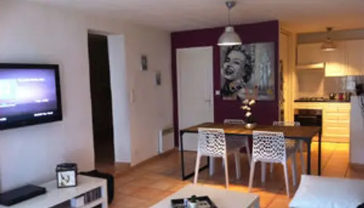 Appartement de type 2/3 avec terrasse La Roquebrussanne