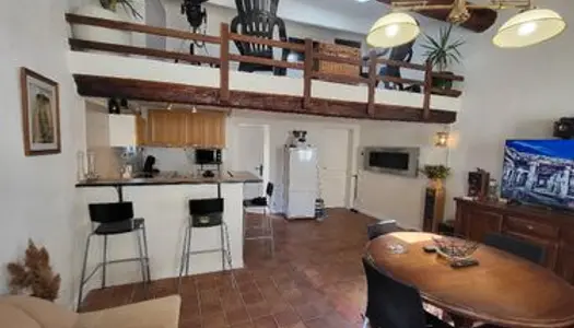 Grande maison composée de 3 appartements et terrain non attenant 5000m3 proche de l'etang 