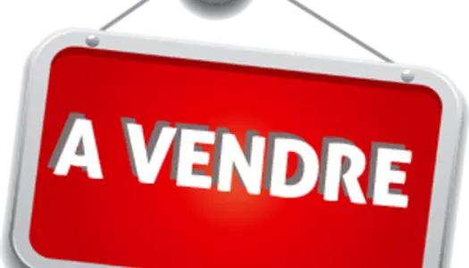 A VENDRE IMMEUBLE MIXTE (LOGEMENT ET LOCAL COMMERCIAL)