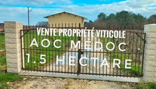 AV Propriété Viticole AOC Médoc avec stock de vin