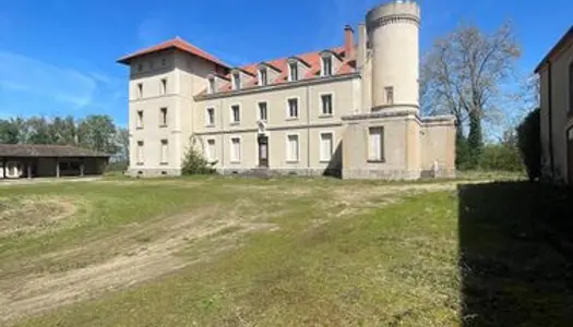 Chateau 20 pièces 1000 m² 