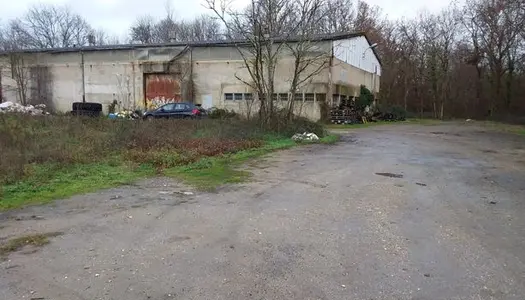 Local commercial 1000 m² 